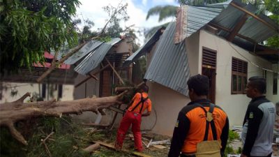 Sejumlah Bangunan di Aceh Besar Tertimpa Pohon