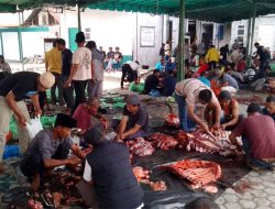Kampung Blang Kolak 1 Sembelih 16 Ekor Kurban