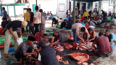 Kampung Blang Kolak 1 Sembelih 16 Ekor Kurban