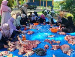 SMKN 1 Karang Baru Kurban Empat Ekor Sapi