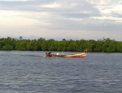 Angin Sepoi Sepoi Kuala Langsa