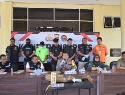 Polres Gayo Lues Ungkap Transaksi Gading Gajah