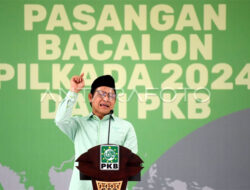 Ini 15 Cabup/Cawabup yang Didukung PKB se Aceh