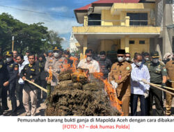 Polda Aceh Musnahkan 1,2 Ton Ganja & 226 Kg Sabu