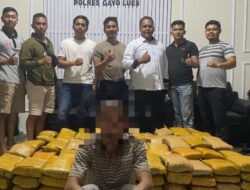 Polres Gayo Lues Gagalkan Peredaran 250 Kg Ganja