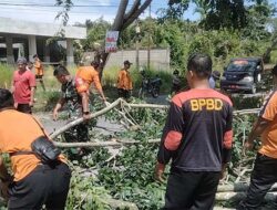 Pembersihan Pohon Tumbang di Jalan Islamic Center