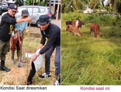 Tahiroe Aceh Kota Langsa Dibiarkan tak Terawat