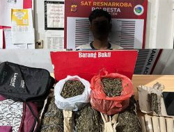Polresta Banda Aceh Gagalkan Penjualan 3,7 Kg Ganja