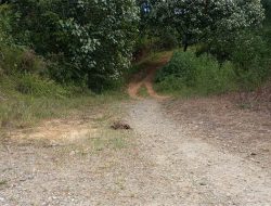 Jalan Lingkar Kabupaten Gayo Lues Terbengkalai