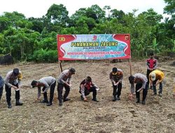 Polres Sabang Tanam Jagung di Batee Shoek