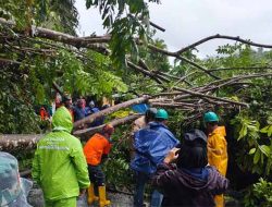 Cuaca Ekstrem Transportasi Laut Sabang Terganggu