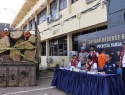 Polresta Banda Aceh Amankan 7 Kubik Kayu Ilegal