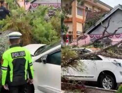 Dua Mobil Ringsek Ditimpa Pohon di Langsa