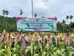 Panen Raya Jagung Serentak Kuartal III di Kota Sabang