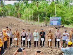 BUMDes Mandiri Gampong Batee Shoek Tanam Padi Gogo dan Jagung