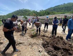 Penanaman Pohon di Kota Sabang