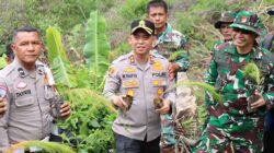 Polres Aceh Tengah Tanam 1.500 Bibit Pinus di Bintang