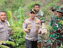 Polres Aceh Tengah Tanam 1.500 Bibit Pinus di Bintang
