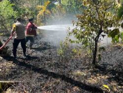 Kebakaran Lahan Perkebunan di Sabang