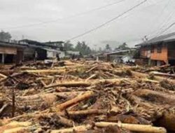 Kayu-kayu Hasil Bencana Dilarang Dibawa ke Luar Aceh