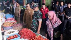 Stabilitas Harga Pangan di Sabang, Pasokan Mulai Berangsur Pulih