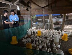 Tahun ini Bank Aceh Siapkan KUR Rp1,5 Triliun