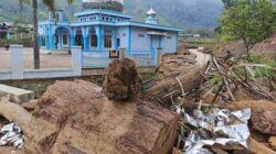 Status Bencana Aceh Beralih dari Darurat Menjadi Transisi Pemulihan