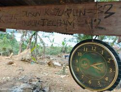 Galeri FOTO: Gayo, 44 Hari Setelah Bencana