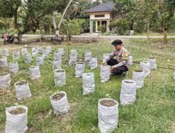 Lumpur Banjir Ternyata Bisa Jadi Media Tanam Produktif