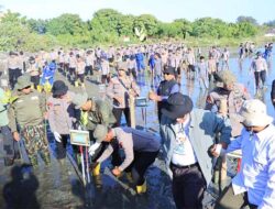 Polda Aceh Tanam 10.000 Mangrove di Alue Naga