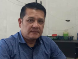 PascaBencana Dinas Pertanian Gayo Lues Program Bibit Kopi dan Kakao Bibit