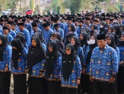 2.393 Tenaga P3K Paruh Waktu Aceh Tamiang Dilantik