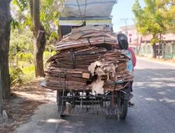 Berita FOTO: Perjuangan Hidup