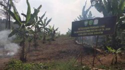 Satgas TMMD Aceh Timur Sulap Lahan Tidur Jadi Hanpangan