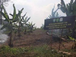 Satgas TMMD Aceh Timur Sulap Lahan Tidur Jadi Hanpangan