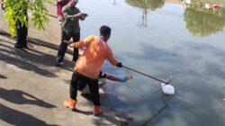 Janin yang diduga Hasil Aborsi Ditemukan di Bantaran Krueng Doy