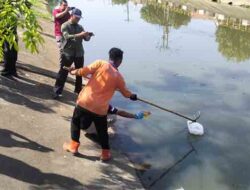 Janin yang Diduga Hasil Aborsi Ditemukan di Bantaran Krueng Doy