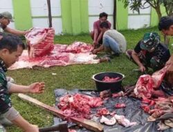 Kodim Aceh Tamiang Potong Hewan Qurban