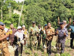 Sabang Panen 1 Ton Jagung di Paya Seunara
