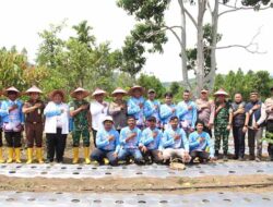 Forkopimda Gayo Lues Tanam Bawang Putih Serentak
