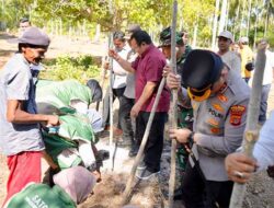 Lahan Kosong di Sabang Terus Dioptimalkan