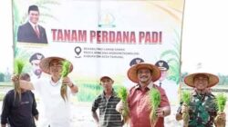 Aceh Tamiang Targetkan 6.240 Ha Sawah Terdampak Bencana Siap Tanam Nopember