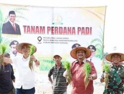 Aceh Tamiang Targetkan 6.240 Ha Sawah Terdampak Bencana Siap Tanam Nopember