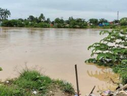 Belum Sembuh Luka Tahun Lalu, Kini 9 Kecamatan di Aceh Tamiang Teredam Banjir Lagi